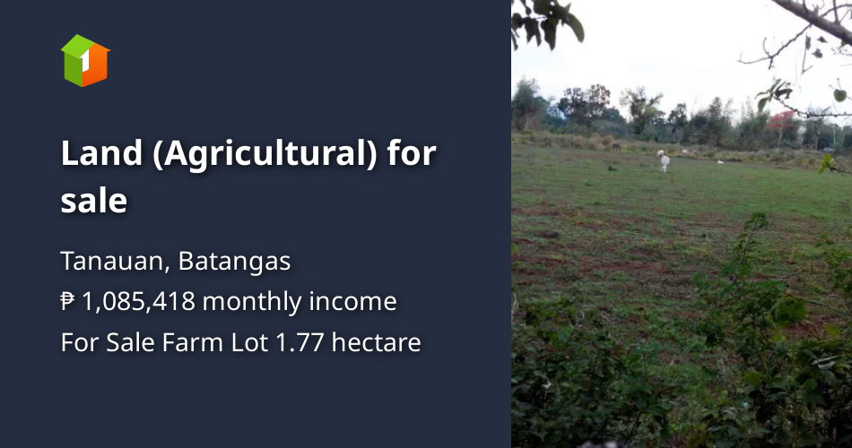 Land (Agricultural) for sale [Lots 🚜] (April 2026) in Tanauan, Batangas ...