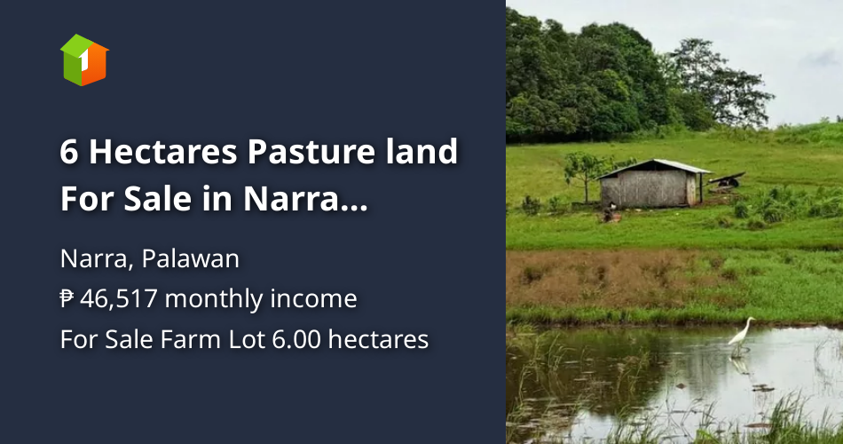 6 Hectares Pasture land For Sale in Narra Palawan [Lot 🚜] (May 2024) in