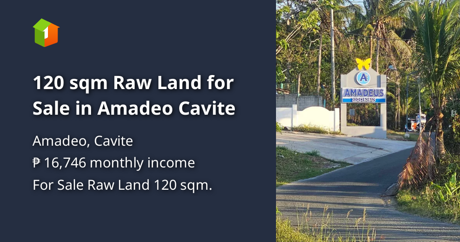 120 sqm Raw Land for Sale in Amadeo Cavite [Lot 🚜] (March 2024) in