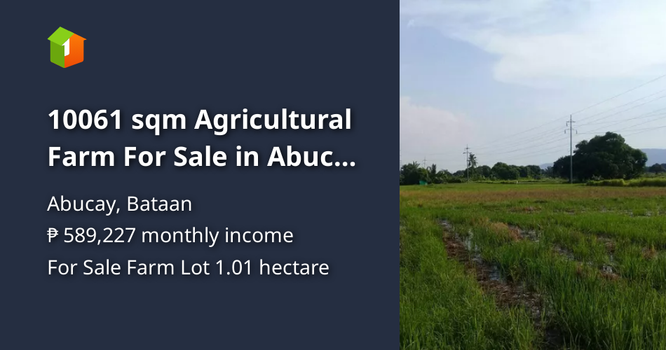 10061 sqm Agricultural Farm For Sale in Abucay Bataan [Lot 🚜] (January