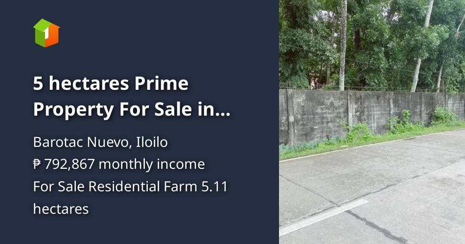 5 hectares Prime Property For Sale in Barotac Nuevo Iloilo [Lots 🚜 ...