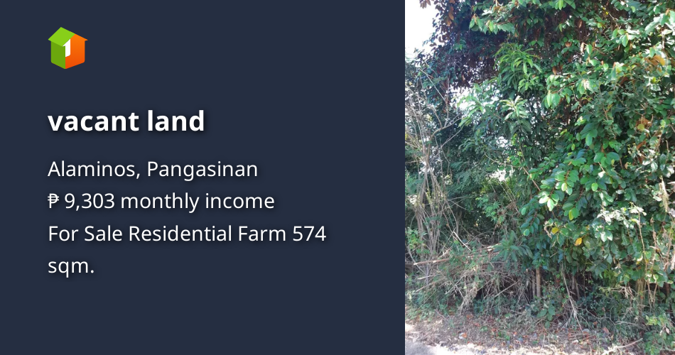 Vacant land [Lot 🚜] (November 2023) in Alaminos, Pangasinan for sale