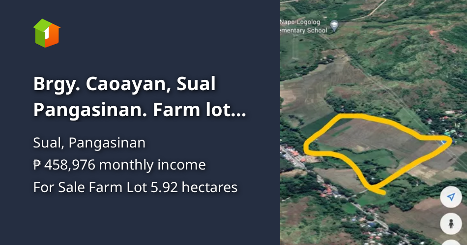 Brgy. Caoayan, Sual Pangasinan. Farm lot near national road, NAPOCOR