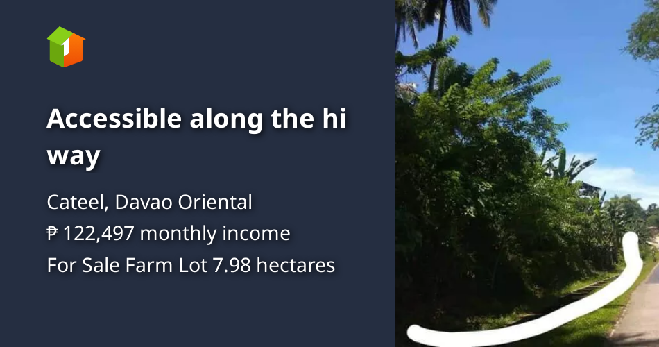 Accessible along the hi way [Lot 🚜] (May 2023) in Cateel, Davao
