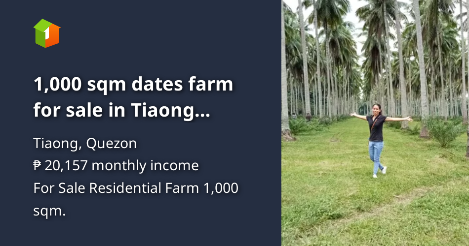 1,000 sqm dates farm for sale in Tiaong Quezon Province [Lot 🚜