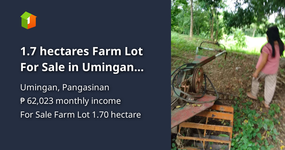 1.7 hectares Farm Lot For Sale in Umingan Pangasinan [Lots 🚜] (October