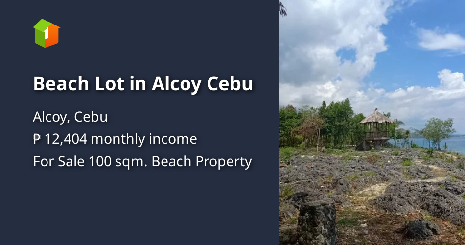 Beach Lot in Alcoy Cebu [Beach Property 🏖️] (August 2024) in Alcoy