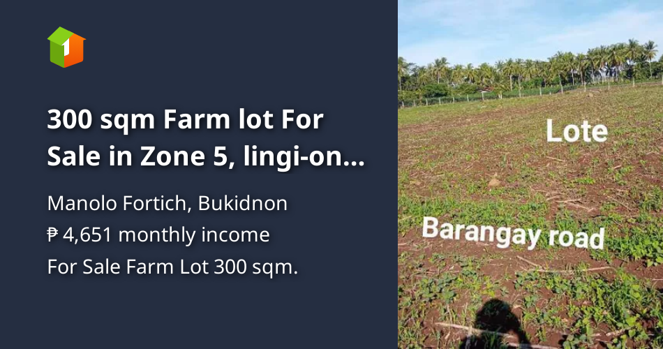 300 sqm Farm lot For Sale in Zone 5, lingion Manolo Fortich Bukidnon