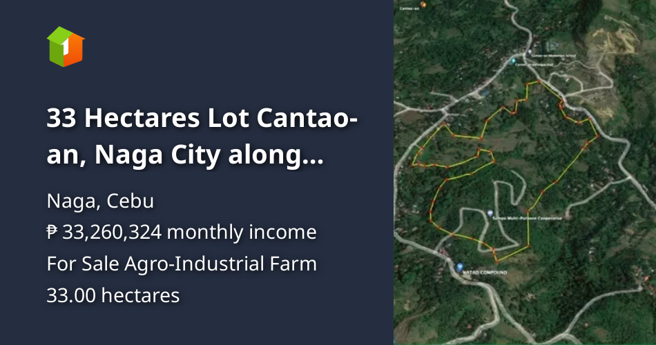 33 Hectares Lot Cantao-an, Naga City along Super Highway [Lots 🚜 ...