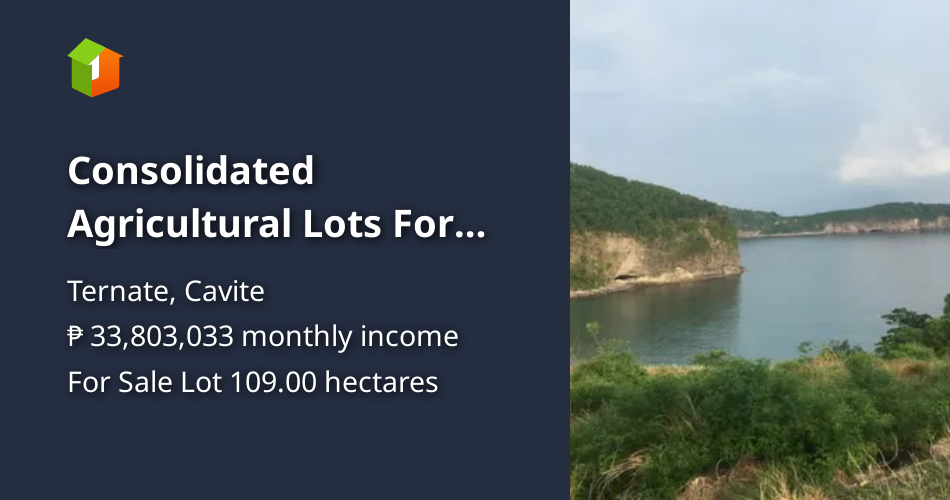 Consolidated Agricultural Lots For Sale in Ternate, Cavite [Lot 🚜