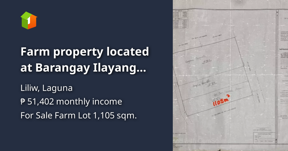 Farm property located at Barangay Ilayang San Roque Liliw Laguna [Lot 🚜