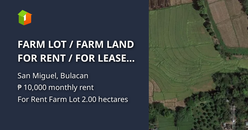 FARM LOT / FARM LAND FOR RENT / FOR LEASE / CONTRACT GROWING [Lot 🚜