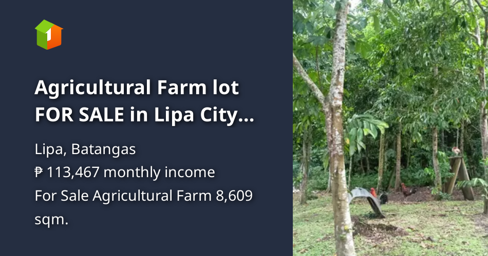 Agricultural Farm lot FOR SALE in Lipa City Batangas [Lot 🚜] (August ...