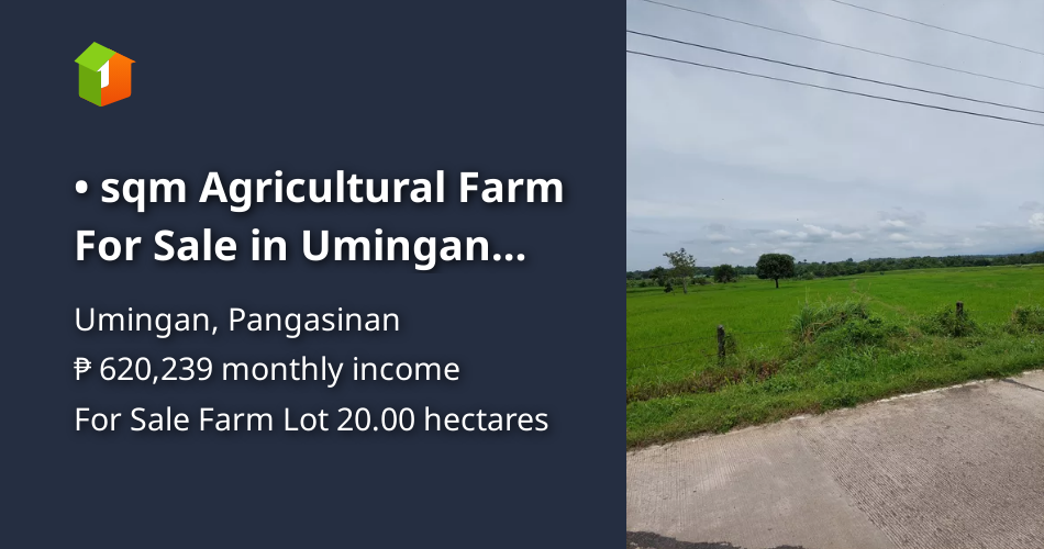 200000 sqm Agricultural Farm For Sale in Umingan Pangasinan [Lot 🚜