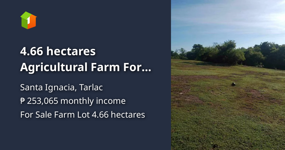 Tarlac residential land for sale 4hectares in Santa Ignacia Tarlac