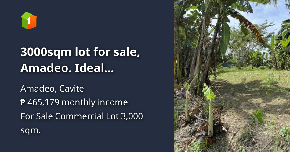 3000sqm lot for sale, Amadeo. Ideal Commercial Project [Lot 🚜] (May