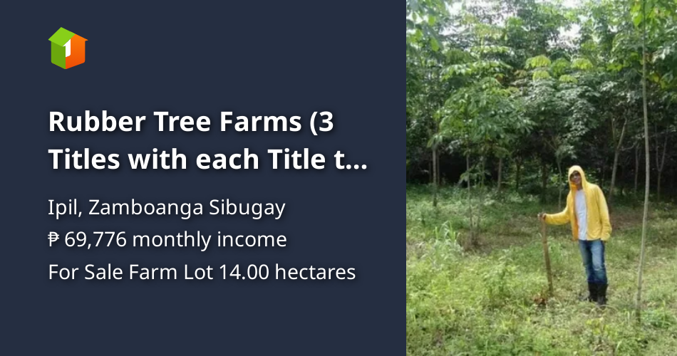 Rubber Tree Farms (3 Titles with each Title to be about 4 hectares) [Lot 🚜] (January 2024) in