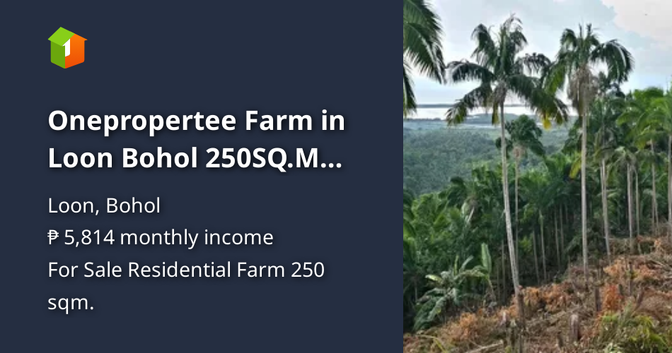 Agricultural Farm For Sale in Loon Bohol [Lot 🚜] (August 2024) in Loon