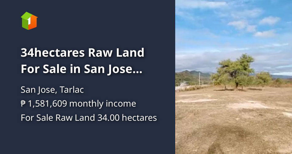 34hectares Raw Land For Sale in San Jose Tarlac [Lots 🚜] (December 2023