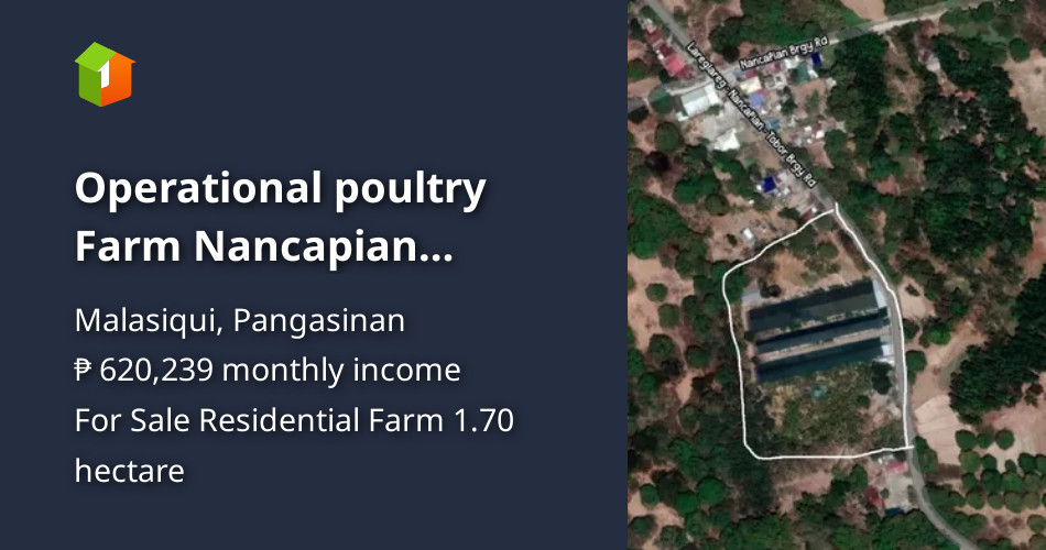 Operational poultry Farm Nancapian Villasis,Pangasinan [Lot 🚜] (August