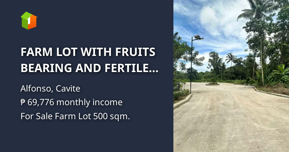 FARM LOT WITH FRUITS BEARING AND FERTILE SOIL [Lot 🚜] (July 2024) in