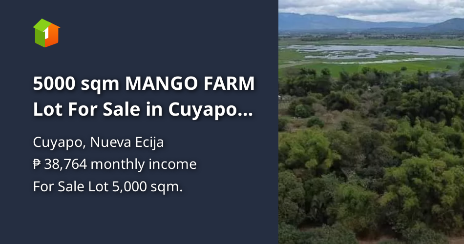 5000 sqm MANGO FARM Lot For Sale in Cuyapo Nueva Ecija [Lot 🚜