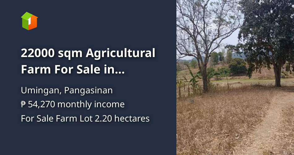 22000 sqm Agricultural Farm For Sale in Umingan Pangasinan [Lot 🚜] (August 2024) in Umingan