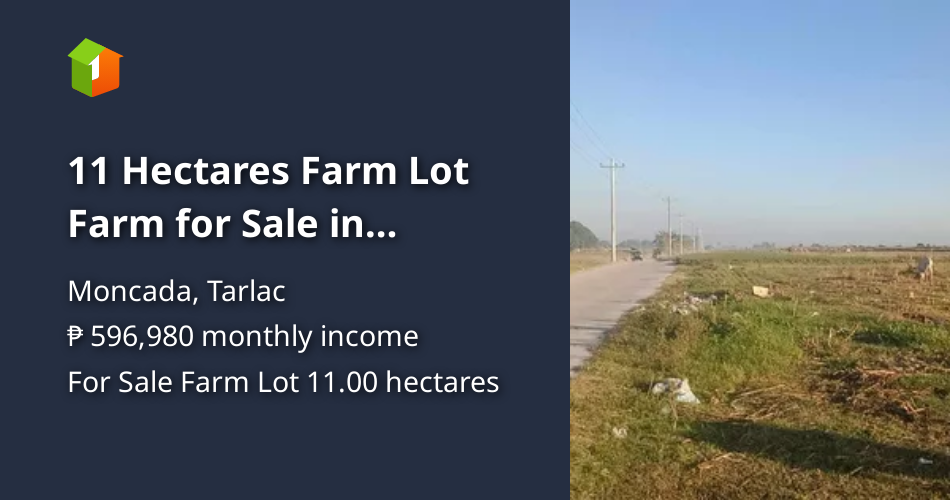 11 Hectares Farm Lot Farm for Sale in Moncada Tarlac City [Lot 🚜