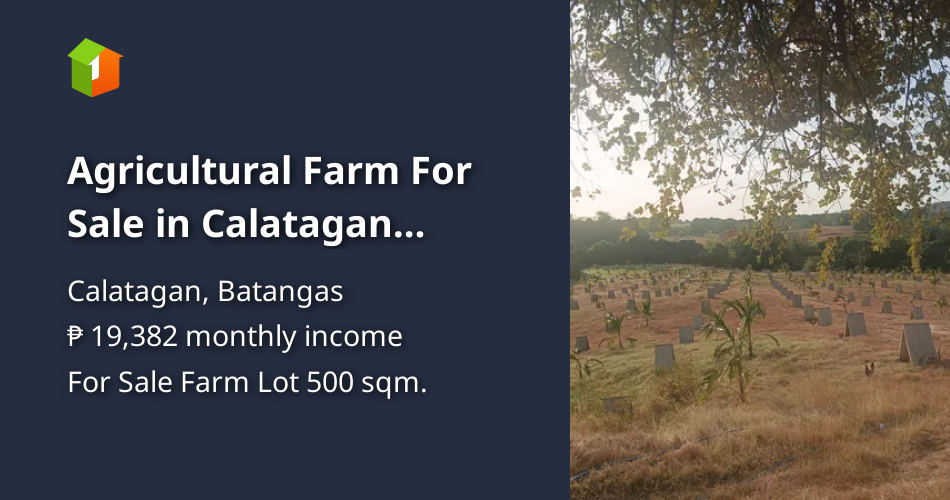 Agricultural Farm For Sale in Calatagan Batangas [Lot 🚜] (May 2024) in