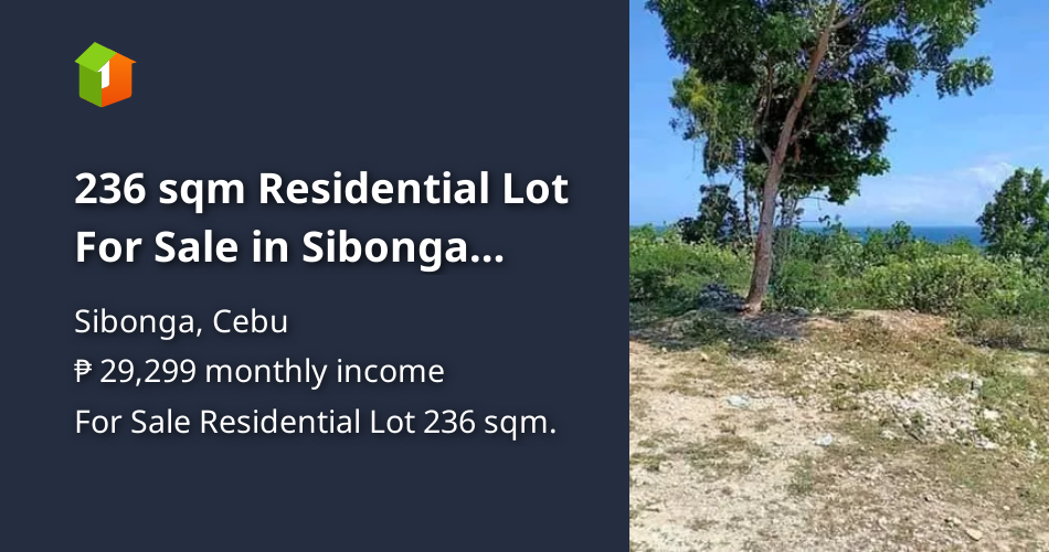 236 sqm Residential Lot For Sale in Sibonga Cebu [Lot 🚜] (January 2023