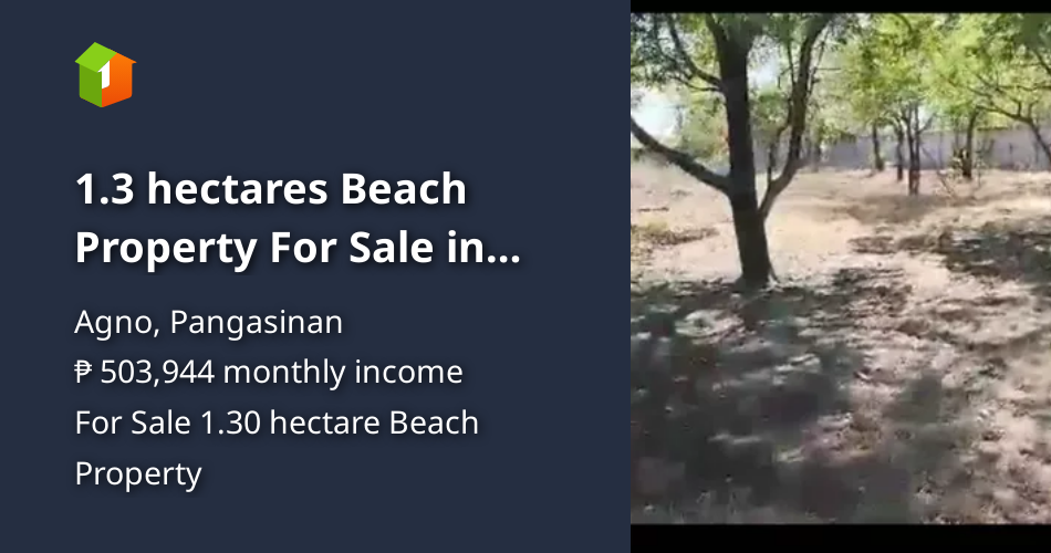 1.3 hectares Beach Property For Sale in Agno Pangasinan [Beach ...
