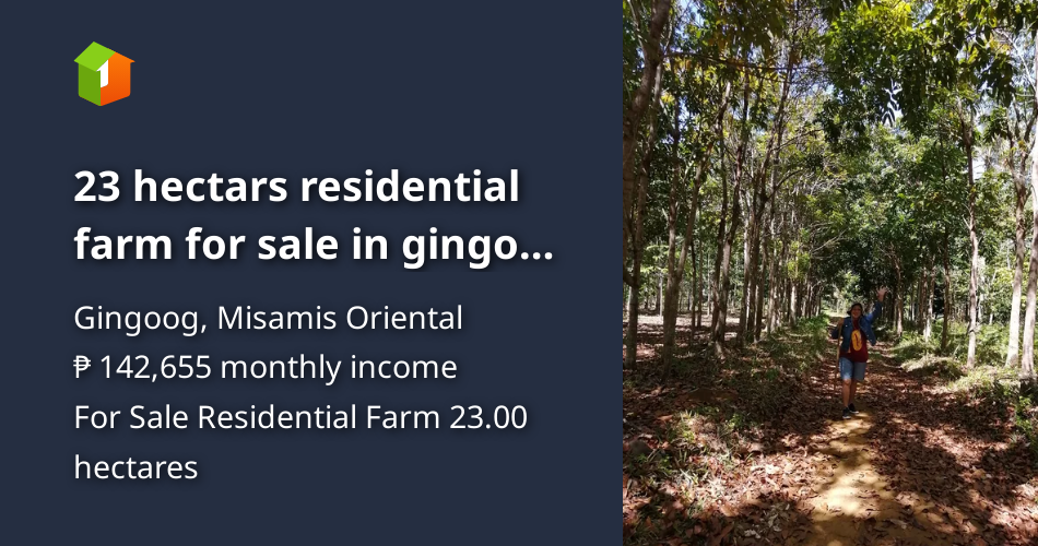 23 hectars residential farm for sale in gingoog misamis oriental [Lot 🚜
