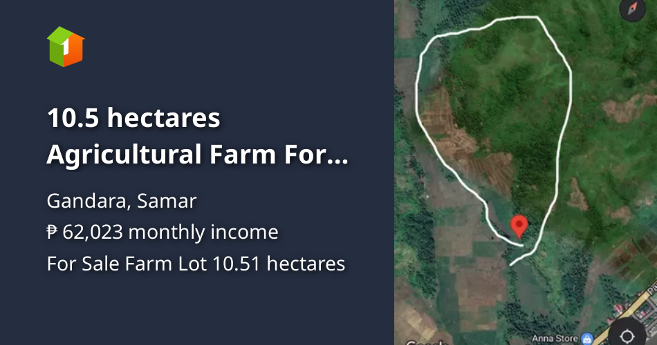 10.5 hectares Agricultural Farm For Sale in Gandara Samar