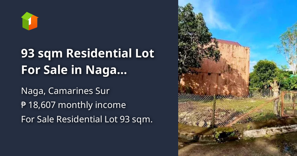 93 sqm Residential Lot For Sale in Naga Camarines Sur [Lot 🚜] (November