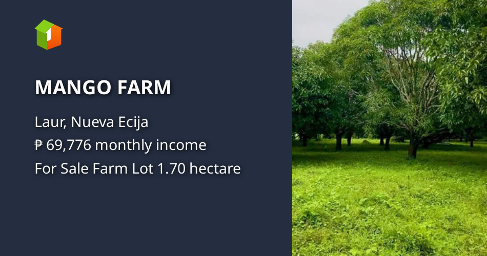 MANGO FARM [Lot 🚜] (January 2023) in Laur, Nueva Ecija for sale