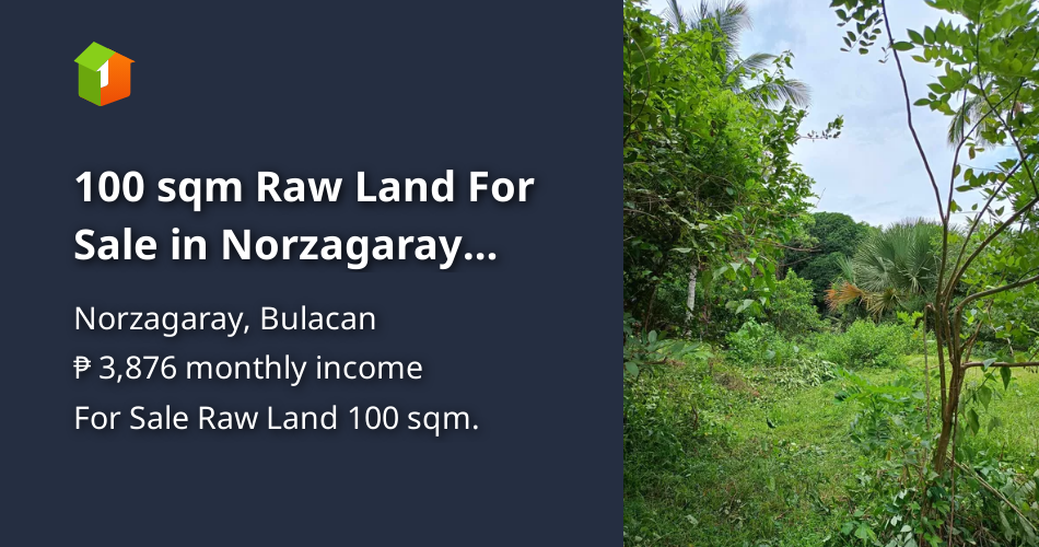 100 sqm Raw Land For Sale in Norzagaray Bulacan [Lot 🚜] (January 2024) in Norzagaray, Bulacan