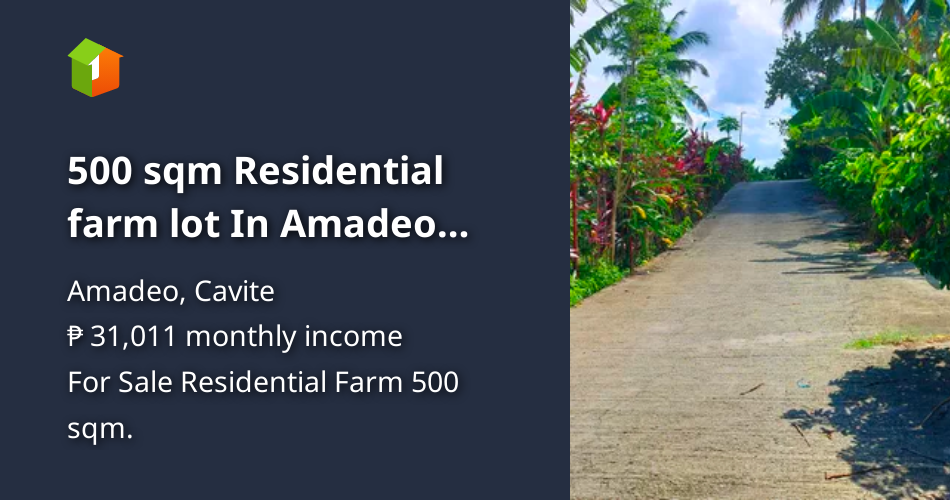 500 sqm Residential farm lot In Amadeo Cavite Payable up to 2 years
