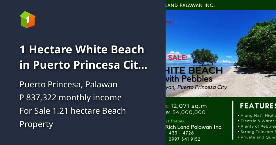 1 Hectare White Beach in Puerto Princesa City Palawan [Beach Property 🏖