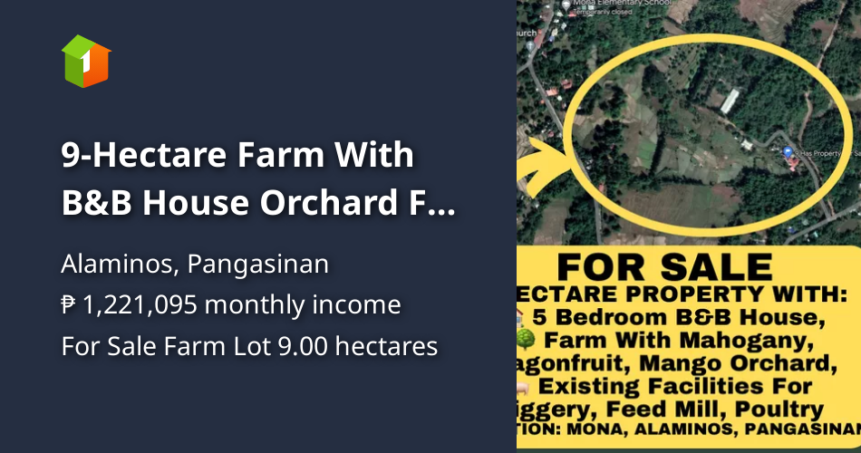 9Hectare Farm With B&B House Orchard For Sale Alaminos Pangasinan [Lot
