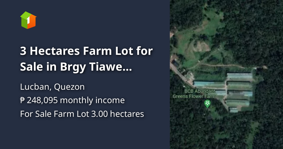 3 Hectares Farm Lot for Sale in Brgy Tiawe Lucban Quezon [Lot 🚜] (September 2024) in Lucban