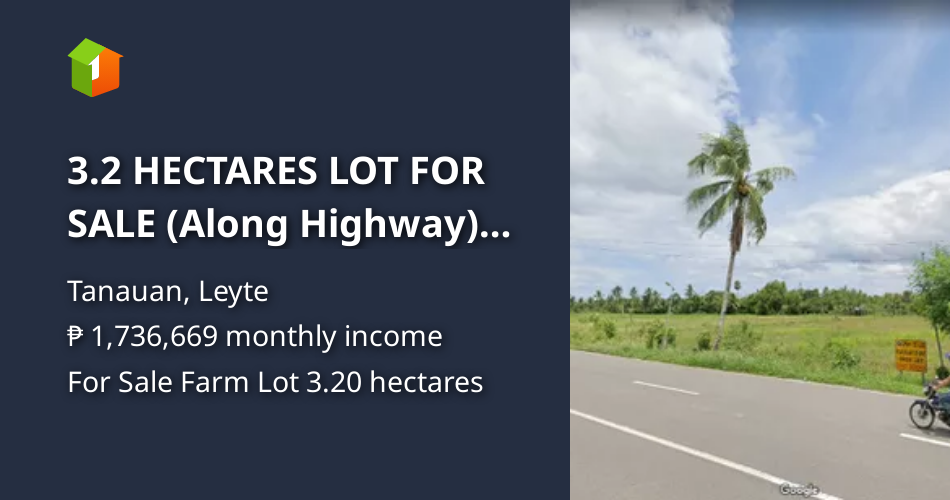 3.2 HECTARES LOT FOR SALE (Along Highway) BRY. PAGO TANAUAN LEYTE [Lot 🚜] (June 2024) in Tanauan