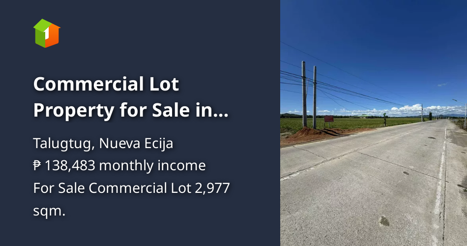 Commercial Lot Property for Sale in Talugtug, Nueva Ecija [Lots 🚜 ...