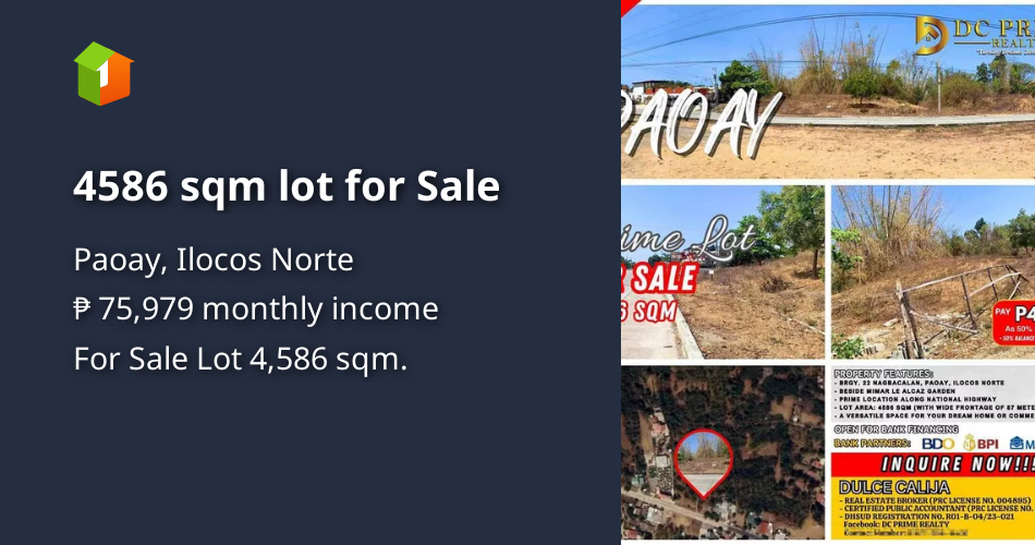 4586 sqm lot for Sale [Lot 🚜] (March 2024) in Paoay, Ilocos Norte for sale