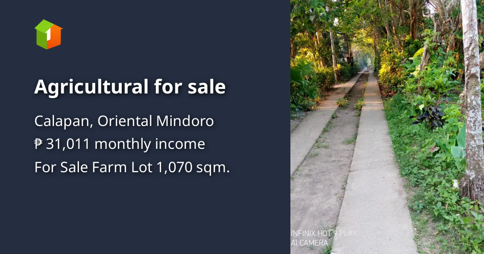 Agricultural for sale [Lots 🚜] (March 2023) in Calapan, Oriental