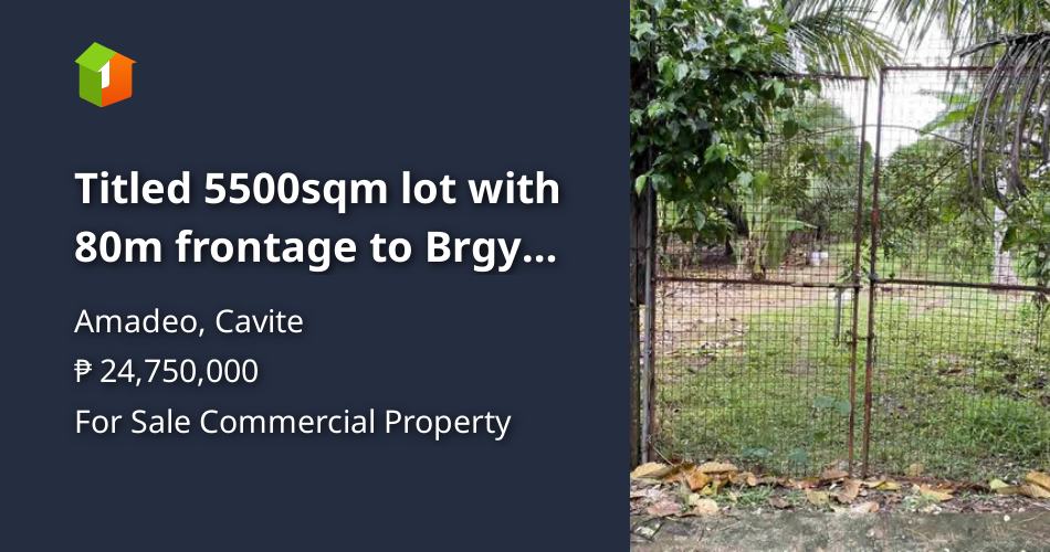 Titled 5500sqm lot with 80m frontage to Brgy Rd, P24.75m. Amadeo