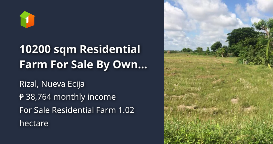 10200 sqm Residential Farm For Sale By Owner in Rizal Nueva Ecija [Lots