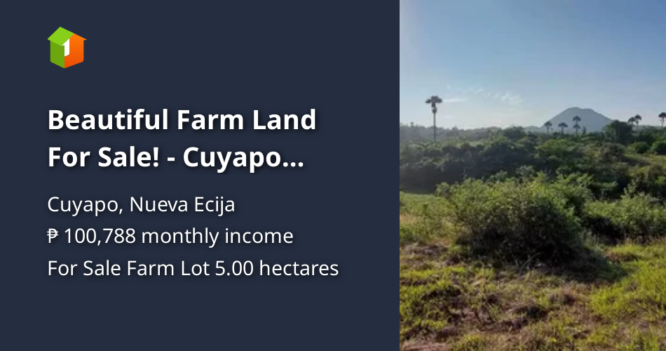 Beautiful Farm Land For Sale! Cuyapo Nueva Ecija [Lot 🚜] (September