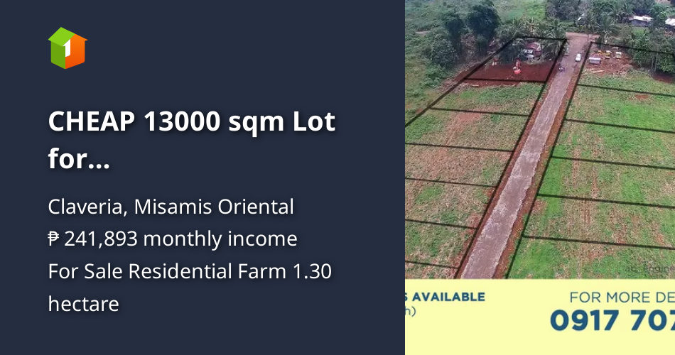 CHEAP 13000 sqm Lot for Investment/Residential in Claveria, MisOr [Lot 🚜] (October 2022) in