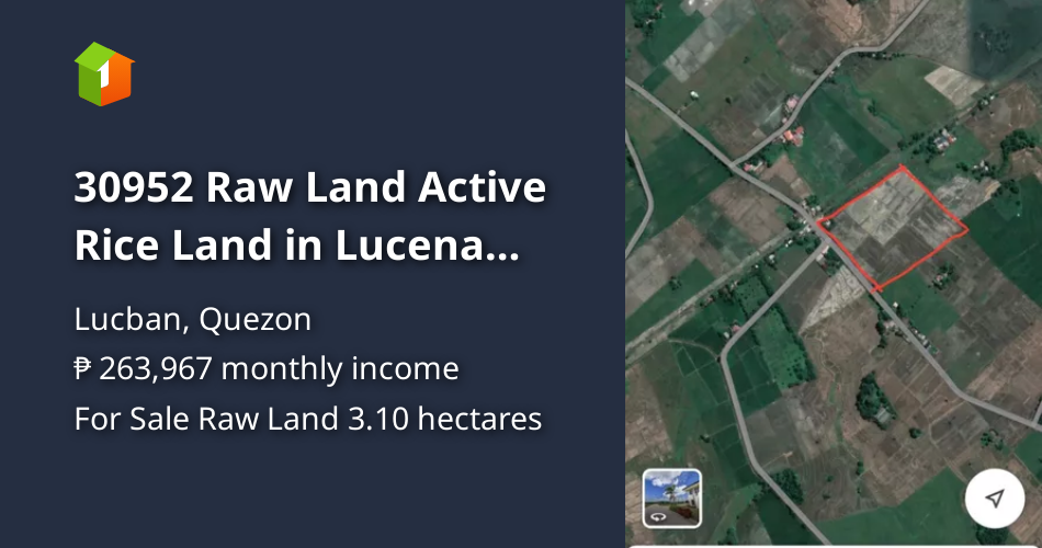 30952 Raw Land Active Rice Land in Lucena City 550/Sqm only [Lot 🚜
