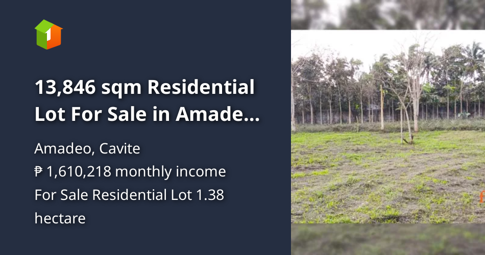 13,846 sqm Residential Lot For Sale in Amadeo Cavite [Lot 🚜] (December